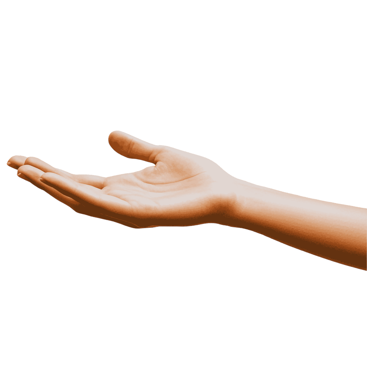 Hand holding TM Syndicate battery